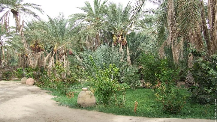 visa-tunisie-oasis-visatropical.jpg